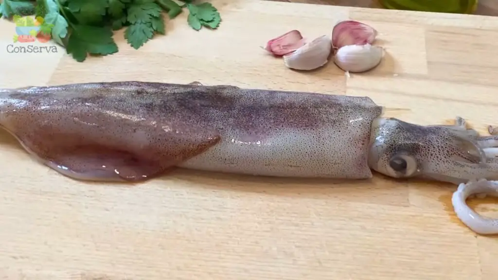 konservieren Tintenfisch