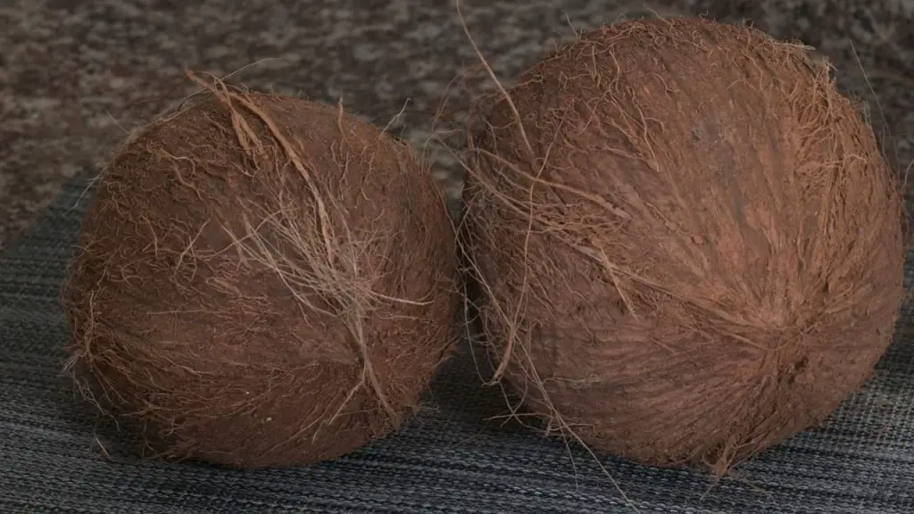 Kokosnuss richtig konservieren
