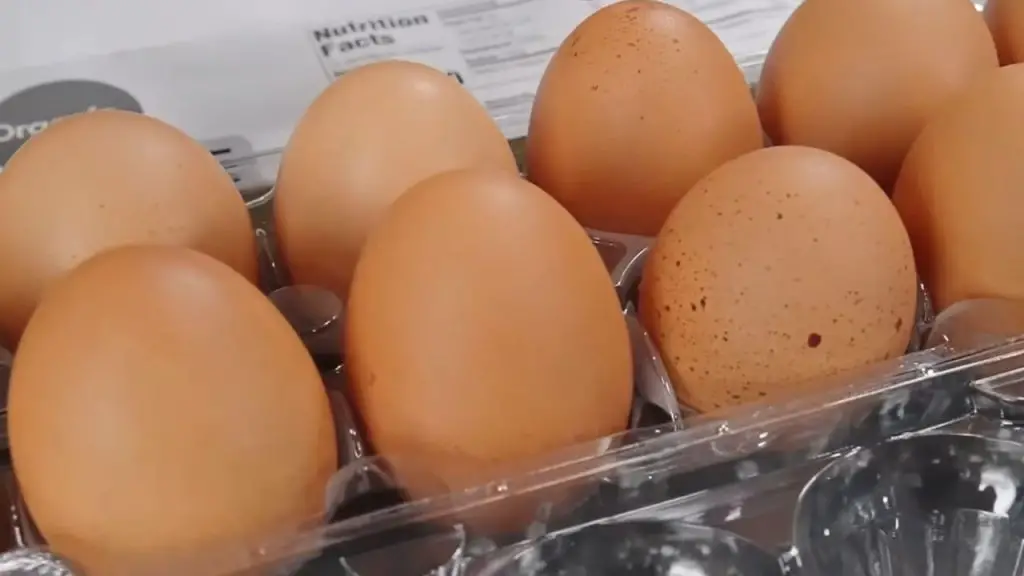 come conservare le uova